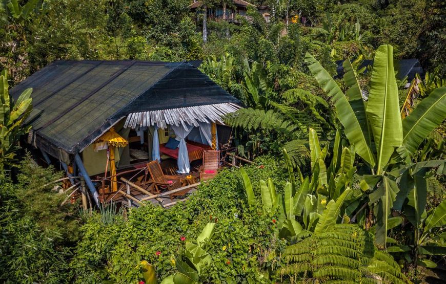 Sang Giri Mountain Rainforest Glamping Camp