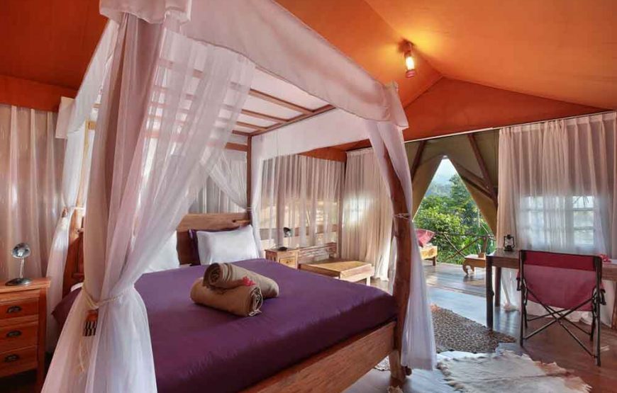 Sang Giri Mountain Rainforest Glamping Camp