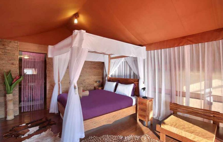 Sang Giri Mountain Rainforest Glamping Camp