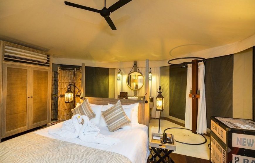 The Menjangan Dynasty Beach Glamping Resort