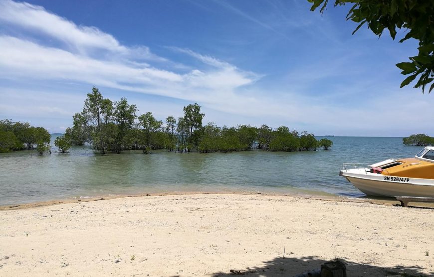 Walai Penyu Resort Libaran Island